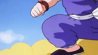 [AniMaunt] Dragon Ball - 008