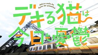 [AniMaunt] Dekiru Neko wa Kyou mo Yuuutsu - 10