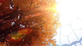 [AniMaunt] Mahoutsukai no Yome Season 2 Part 2 - 03