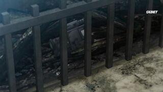 [AniMaunt] Migi to Dali - 13