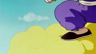 [AniMaunt] Dragon Ball - 17