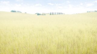 [AniMaunt] Ookami to Koushinryou%3A Merchant Meets the Wise Wolf - 01