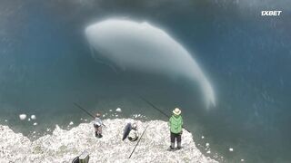 [AniMaunt] Tonari no Youkai san - 04