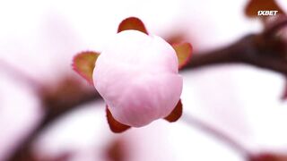 [AniMaunt] Garouden%3A The Way of the Lone Wolf - 07