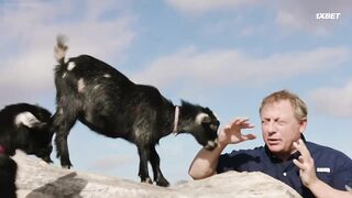 [AniMaunt] Wild Kratts 7 - 03