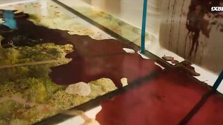 [AniMaunt] Red Swan - 01