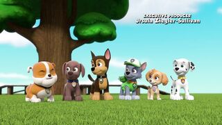 Щенячий патруть S10E12