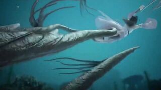 [AniMaunt] Shen Mu 2 - 06