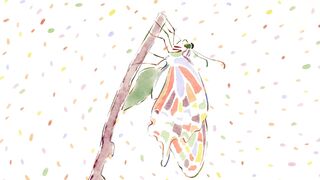 [AniMaunt] Kusuriya no Hitorigoto 2 - 22
