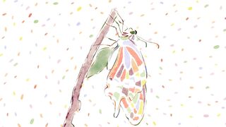 [AniMaunt] Kusuriya no Hitorigoto 2 - 24