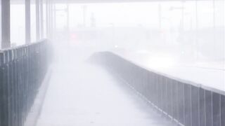 [AniMaunt] Такара — ребёнок будущего 1 сезон 5 серия