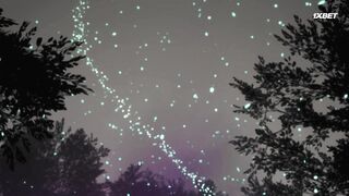 [AniMaunt] Шампиньонная ведьма 1 сезон 6 серия