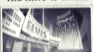 [AniMaunt] Agent Elvis - 02