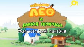 Рейнджер Лео и дикая природа S1E19 Желтоглазый пингвин