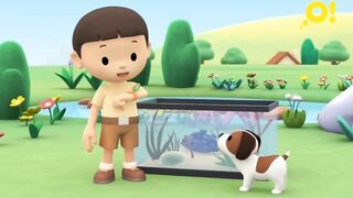 Рейнджер Лео и дикая природа S1E26 Морской конек тряпичник