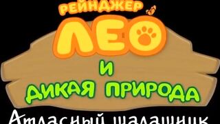 Рейнджер Лео и дикая природа S1E38 Атласный шалашник