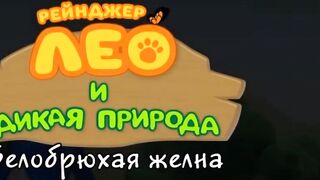 Рейнджер Лео и дикая природа S1E39 Белобрюхая желна
