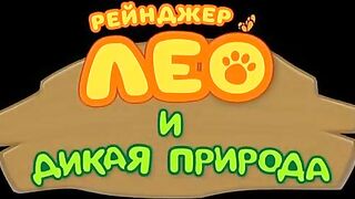 Рейнджер Лео и дикая природа S1E41 Белобрюхий орлан