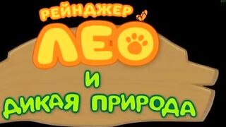 Рейнджер Лео и дикая природа S1E44 Пятнистая кошачья акула