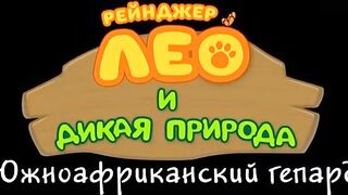 Рейнджер Лео и дикая природа S1E54 Южноафриканский гепард