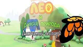 Рейнджер Лео и дикая природа S1E57 Дымчатый леопард