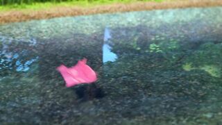 Царевны S3E16