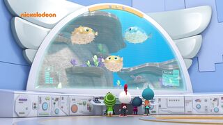 Отважные птинцы S1E22